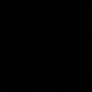 Meet your Posher, Lily